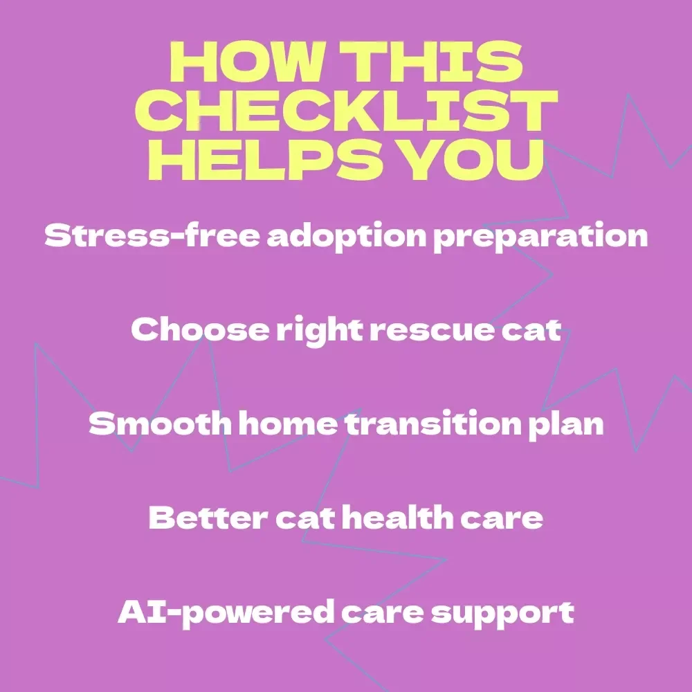 Adopting a Rescue Cat Checklist – How to Adopt a Rescue Cat Step-by-Step Guide for First-Time Pet Parents & Cat Lovers