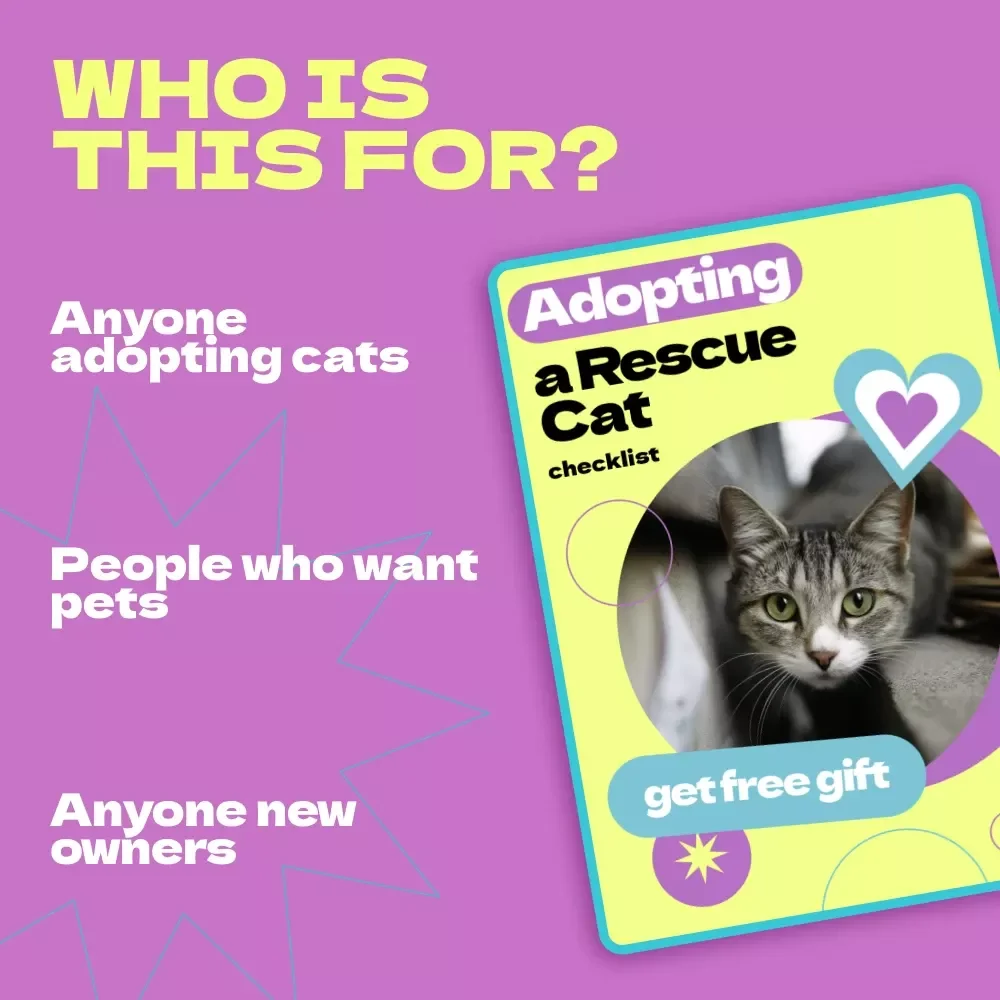 Adopting a Rescue Cat Checklist – How to Adopt a Rescue Cat Step-by-Step Guide for First-Time Pet Parents & Cat Lovers