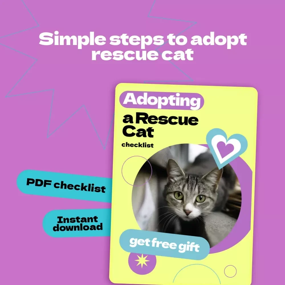 Adopting a Rescue Cat Checklist – How to Adopt a Rescue Cat Step-by-Step Guide for First-Time Pet Parents & Cat Lovers