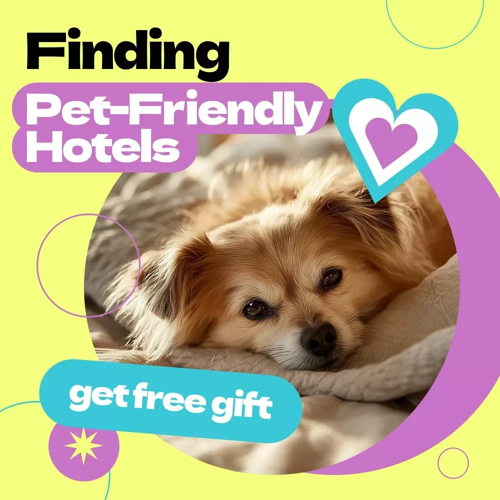 Finding Pet-Friendly Hotels Checklist – How to Find Pet Friendly Hotels Easily, Travel Planning Guide for Pet Owners, Printable Digital Download