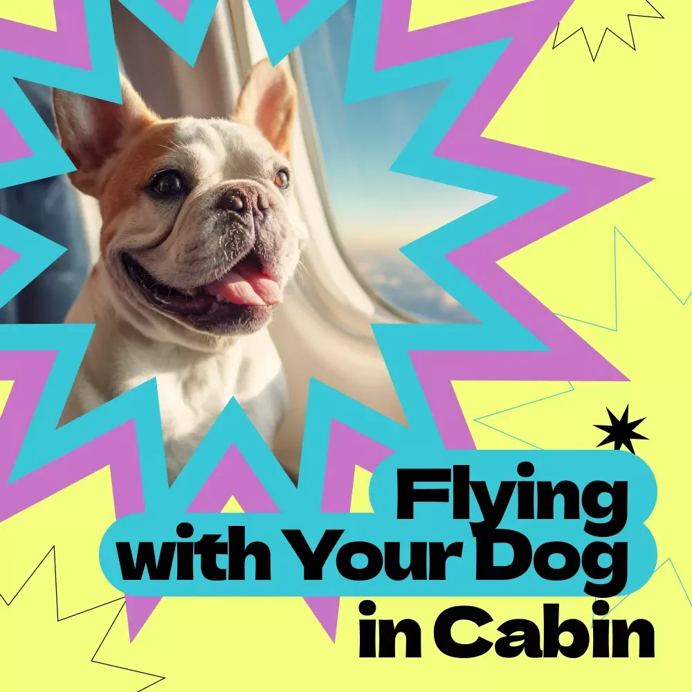 Flying with Your Dog in Cabin – The Ultimate Guide on how to fly with a dog in cabin | Stress-Free Pet Travel eBook & Checklist
