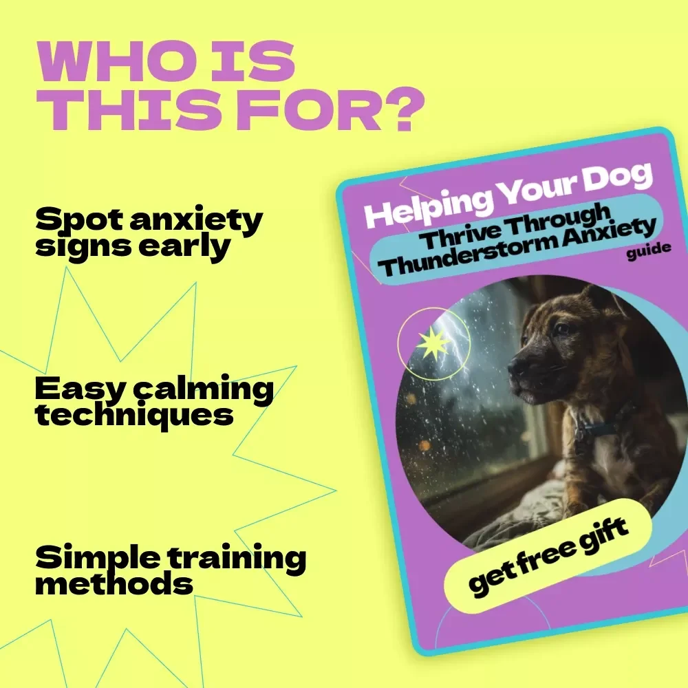 Helping Your Dog Thrive Through Thunderstorm Anxiety – A Complete Guide on how to help dog with thunderstorm anxiety, Calm Training Tips & Stress Relief Solutions for Dogs