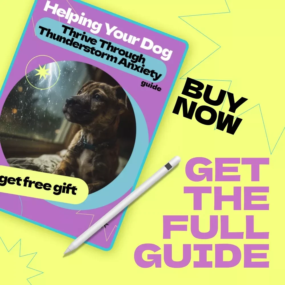 Helping Your Dog Thrive Through Thunderstorm Anxiety – A Complete Guide on how to help dog with thunderstorm anxiety, Calm Training Tips & Stress Relief Solutions for Dogs