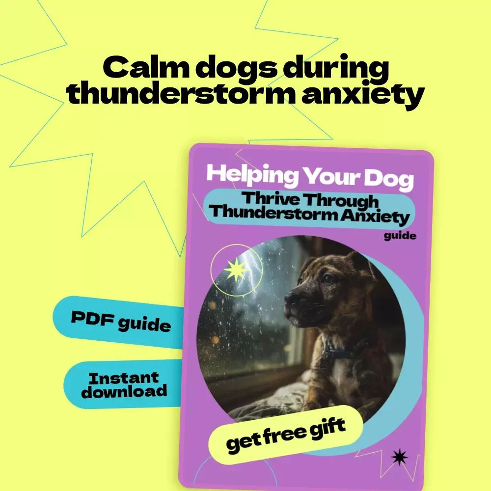 Helping Your Dog Thrive Through Thunderstorm Anxiety – A Complete Guide on how to help dog with thunderstorm anxiety, Calm Training Tips & Stress Relief Solutions for Dogs