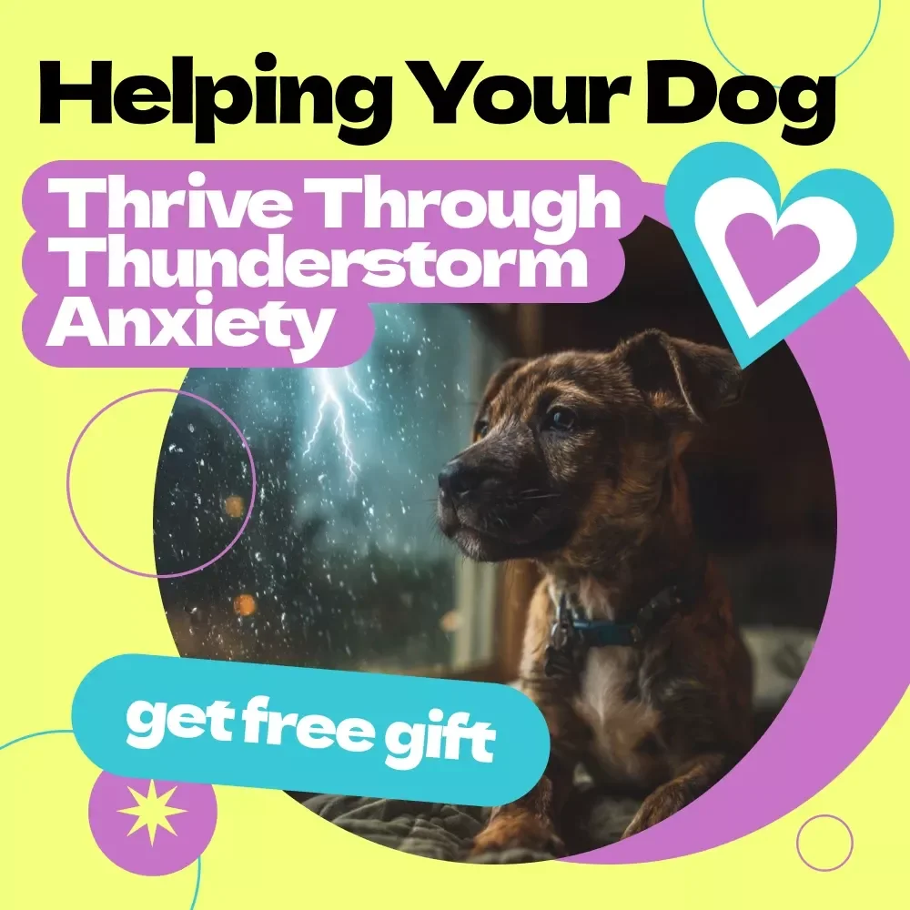 Helping Your Dog Thrive Through Thunderstorm Anxiety – A Complete Guide on how to help dog with thunderstorm anxiety, Calm Training Tips & Stress Relief Solutions for Dogs