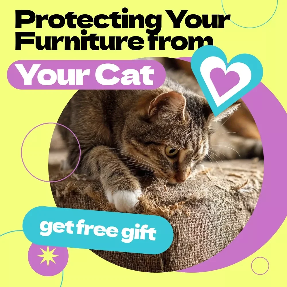 Protecting Your Furniture from Your Cat – How to Stop Cat from Scratching Furniture Guide, Cat Training eBook, Scratch-Proof Home Checklist for Pet Owners