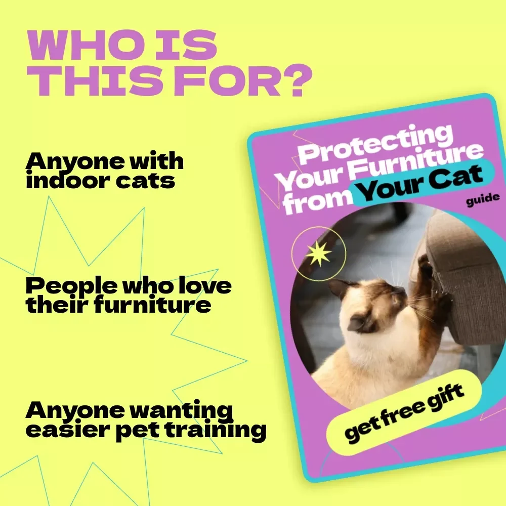 Protecting Your Furniture from Your Cat – How to Stop Cat from Scratching Furniture Guide, Cat Training eBook, Scratch-Proof Home Checklist for Pet Owners
