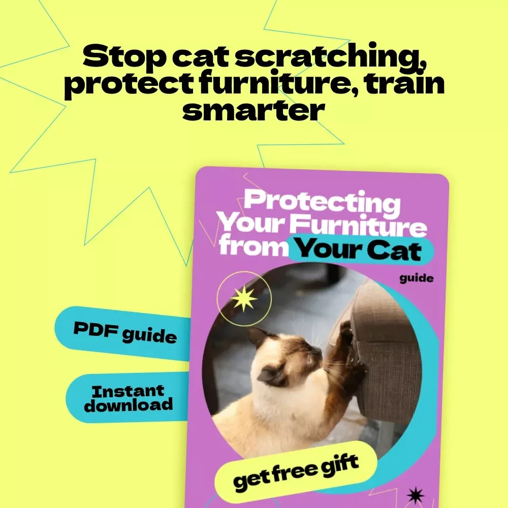 Protecting Your Furniture from Your Cat – How to Stop Cat from Scratching Furniture Guide, Cat Training eBook, Scratch-Proof Home Checklist for Pet Owners