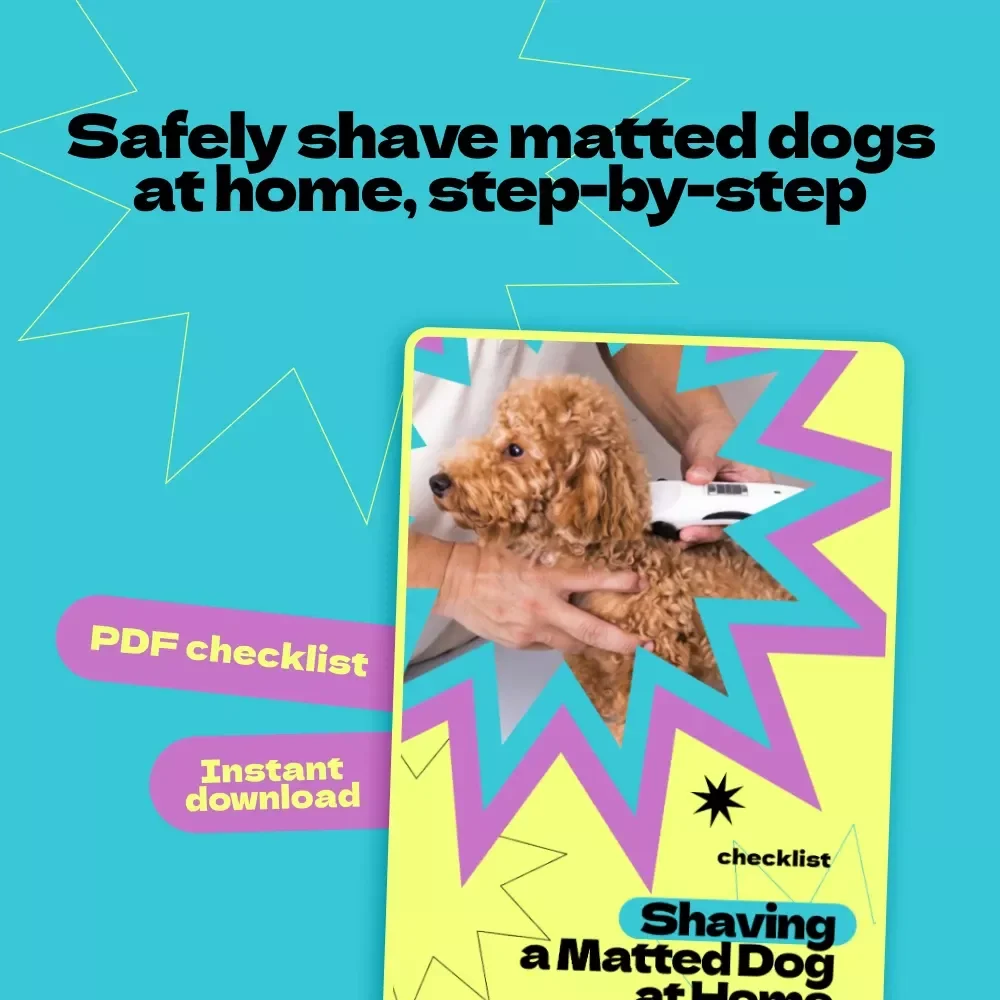 Shaving a Matted Dog at Home Checklist – Step-by-Step Guide for Pet Owners | how to shave matted dog at home Safely & Stress-Free