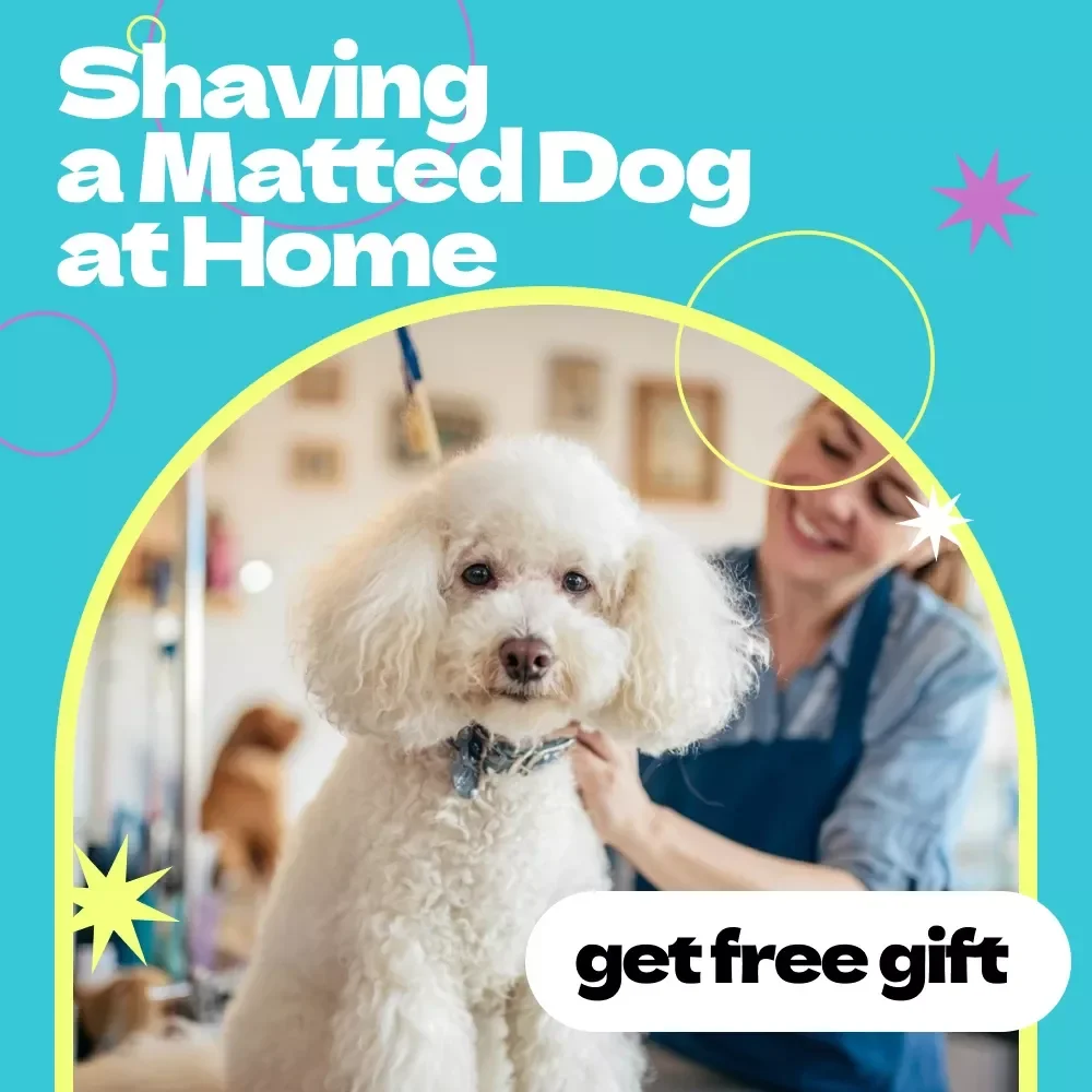 Shaving a Matted Dog at Home Checklist – Step-by-Step Guide for Pet Owners | how to shave matted dog at home Safely & Stress-Free
