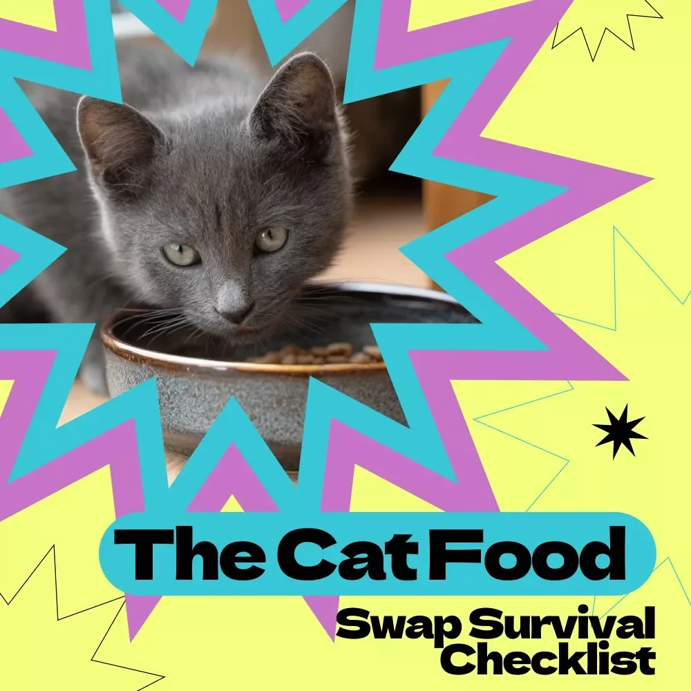 The Cat Food Swap Survival Checklist – How to Switch Cat Food Without Upset Stomach | Gentle Transition Guide for Sensitive Cats | Vet-Friendly Feeding Plan