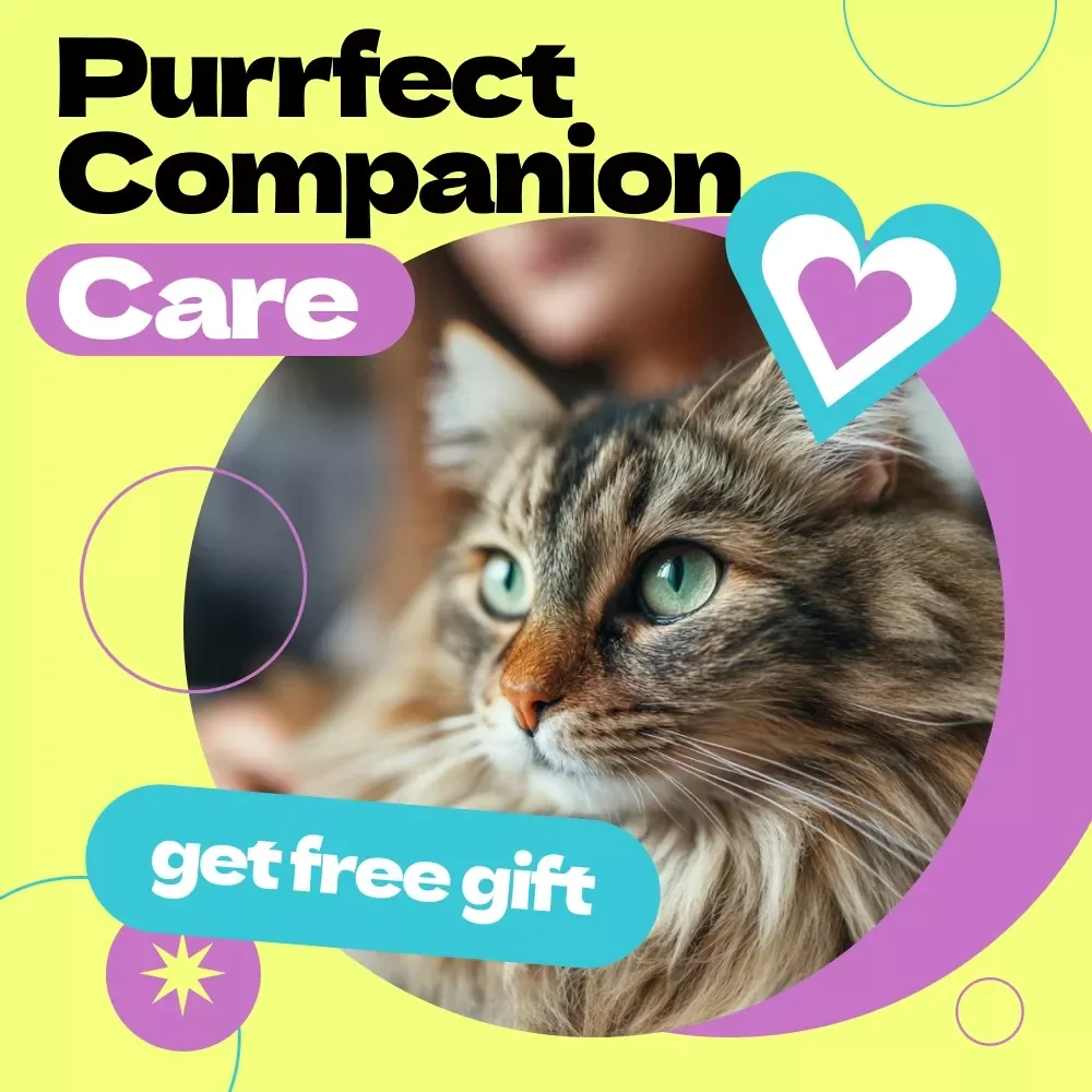 Purrfect Companion Care: Choosing the Right Cat Sitter | how to choose pet sitter for cat Guide, Cat Care eBook, Pet Sitting Checklist, Cat Owner Resource