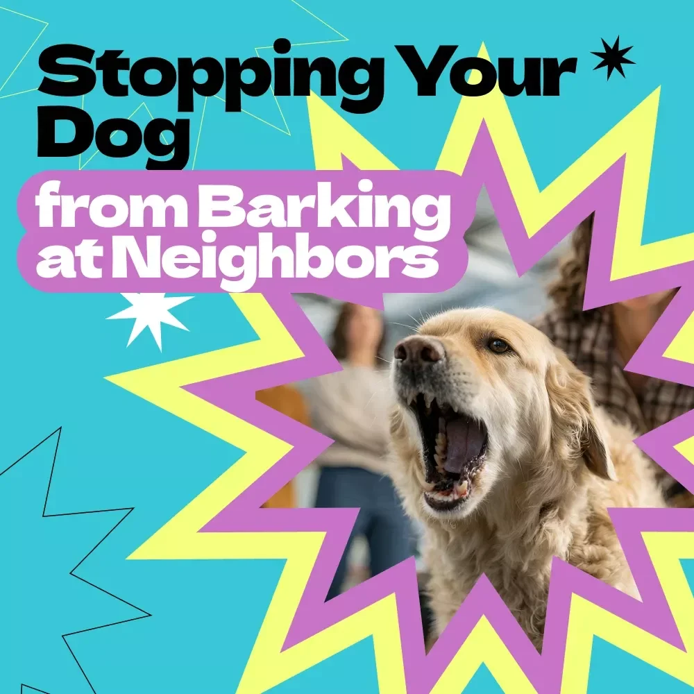 Stopping Your Dog from Barking at Neighbors – Complete Guide on how to stop dog from barking at neighbors, Positive Training Techniques, Behavior Solutions eBook