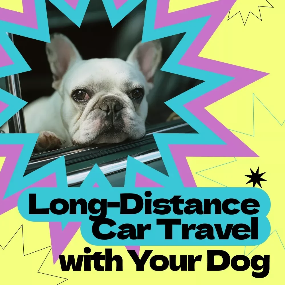 Long-Distance Car Travel with Your Dog – Complete Ebook Guide on how to travel with dog in car long distance, Road Trip Planning, Dog-Friendly Travel Checklist, Stress-Free Pet Journey