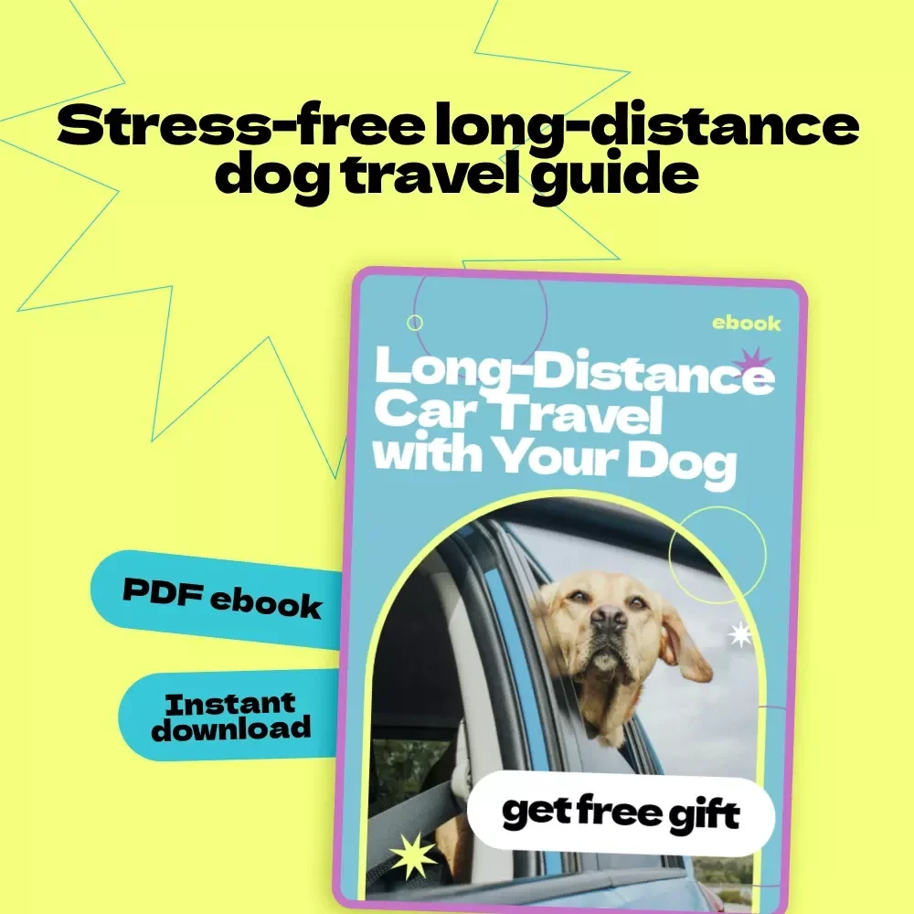 Long-Distance Car Travel with Your Dog – Complete Ebook Guide on how to travel with dog in car long distance, Road Trip Planning, Dog-Friendly Travel Checklist, Stress-Free Pet Journey