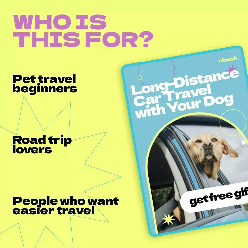 Long-Distance Car Travel with Your Dog – Complete Ebook Guide on how to travel with dog in car long distance, Road Trip Planning, Dog-Friendly Travel Checklist, Stress-Free Pet Journey