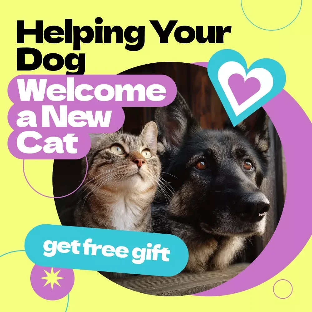Helping Your Dog Welcome a New Cat – Complete Guide on how to help dog accept new cat, Step-by-Step Training, Peaceful Pet Introductions, Dog & Cat Harmony eBook