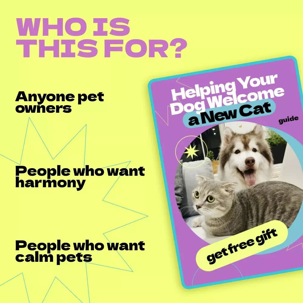 Helping Your Dog Welcome a New Cat – Complete Guide on how to help dog accept new cat, Step-by-Step Training, Peaceful Pet Introductions, Dog & Cat Harmony eBook