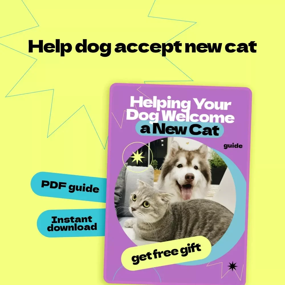 Helping Your Dog Welcome a New Cat – Complete Guide on how to help dog accept new cat, Step-by-Step Training, Peaceful Pet Introductions, Dog & Cat Harmony eBook