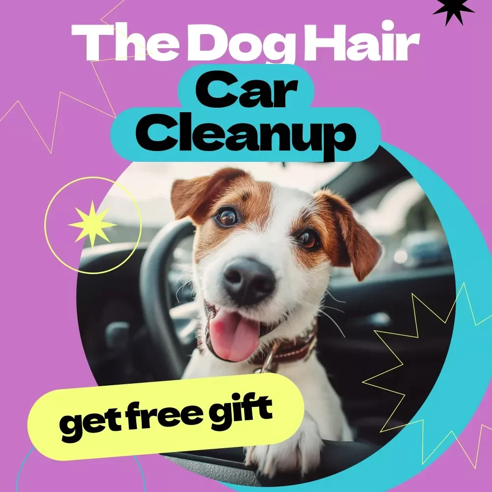 The Dog Hair Car Cleanup Checklist – How to Remove Dog Hair from Car Fast | Printable Pet Hair Removal Guide, Easy Car Cleaning Routine for Dog Owners