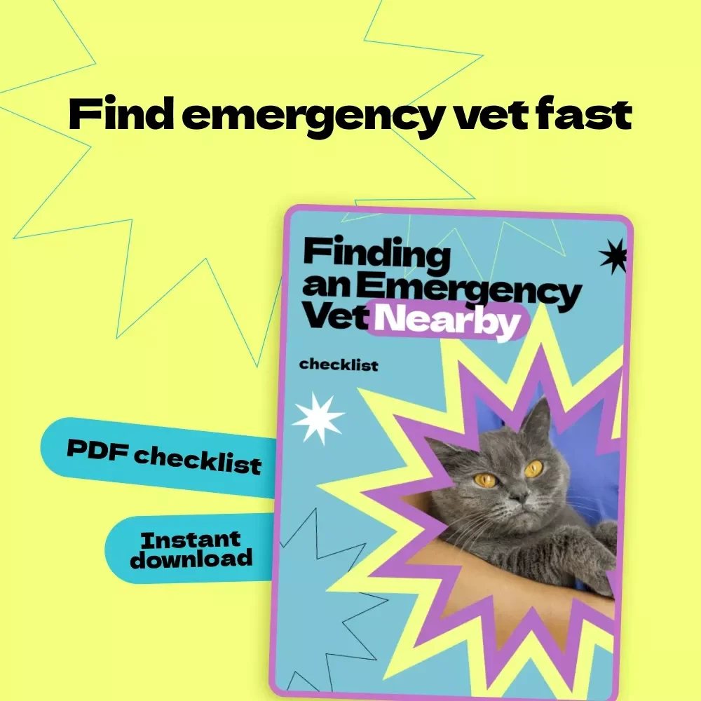 Finding an Emergency Vet Nearby – Printable Checklist Guide for Pet Owners | how to find emergency vet near me | 24-Hour Animal Hospital Search Planner