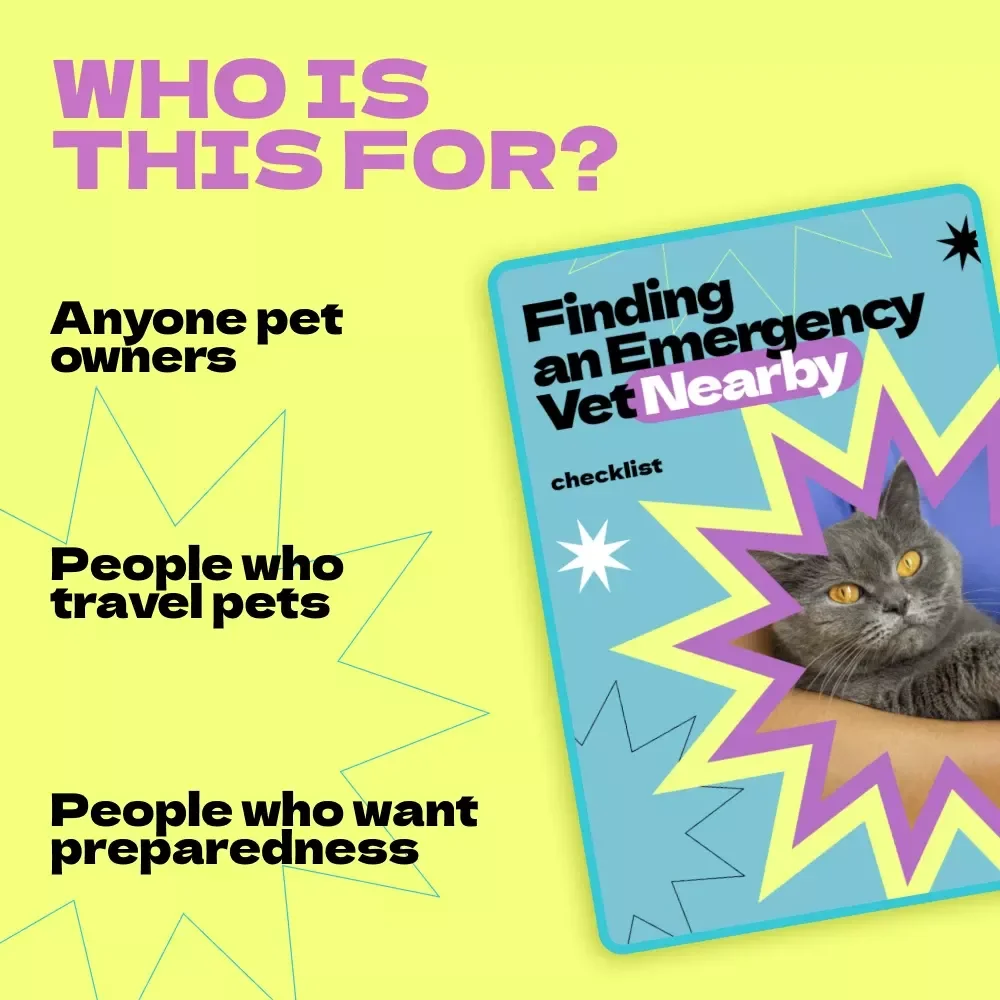 Finding an Emergency Vet Nearby – Printable Checklist Guide for Pet Owners | how to find emergency vet near me | 24-Hour Animal Hospital Search Planner