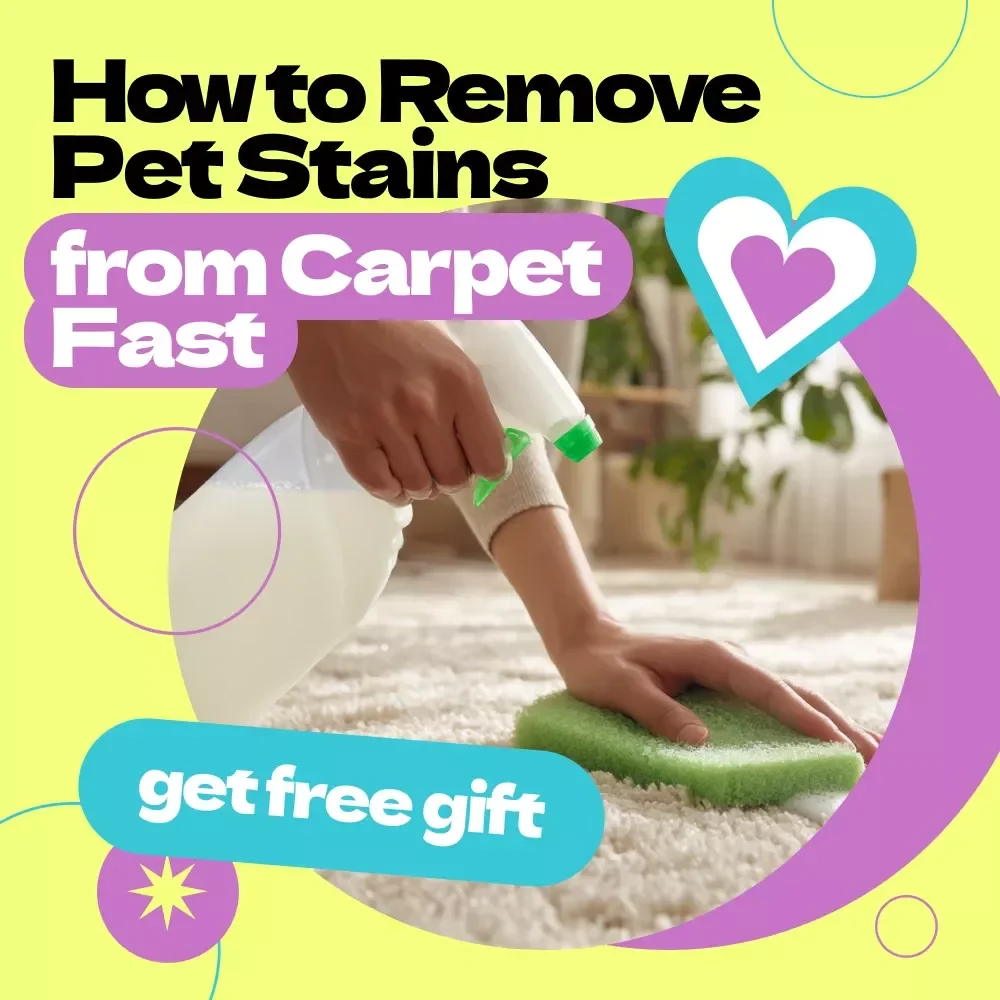 How to Remove Pet Stains from Carpet Fast – Printable Checklist Guide | Easy Step-by-Step Solution for Pet Owners | Instant Digital Download