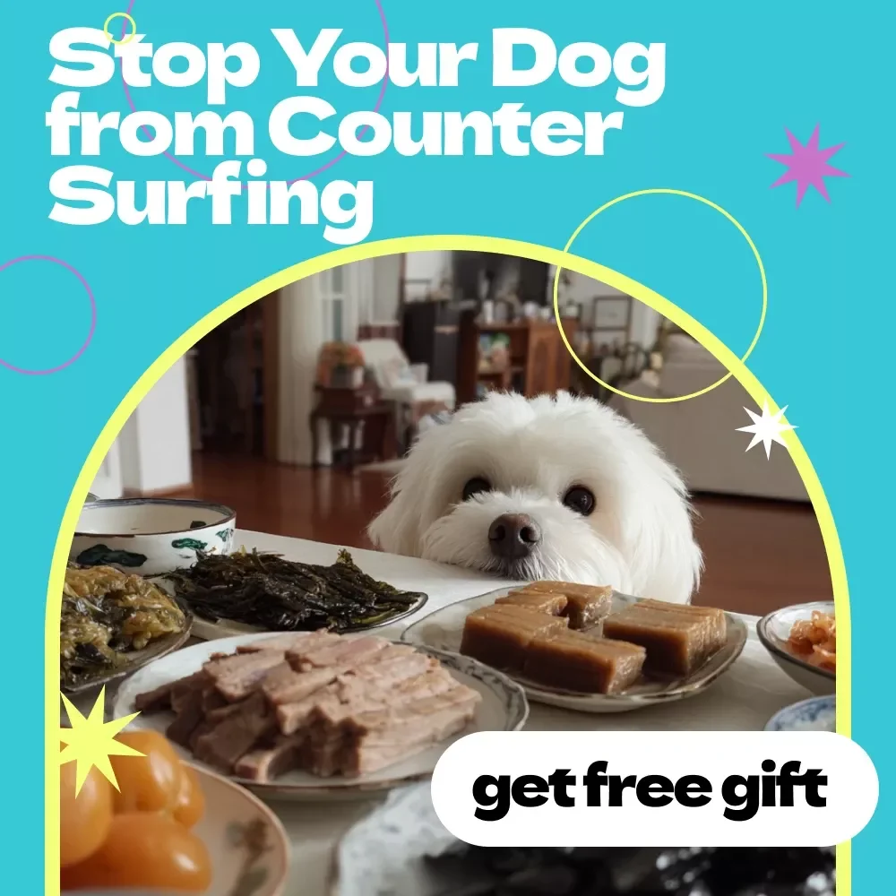 Stop Your Dog From Counter Surfing Checklist – How to Stop Dog from Counter Surfing Fast, Easy Training Guide for Dogs, Kitchen Behavior Fix, Printable Dog Training Tool