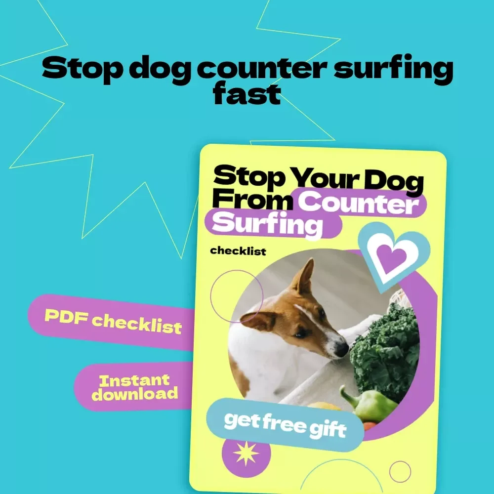 Stop Your Dog From Counter Surfing Checklist – How to Stop Dog from Counter Surfing Fast, Easy Training Guide for Dogs, Kitchen Behavior Fix, Printable Dog Training Tool