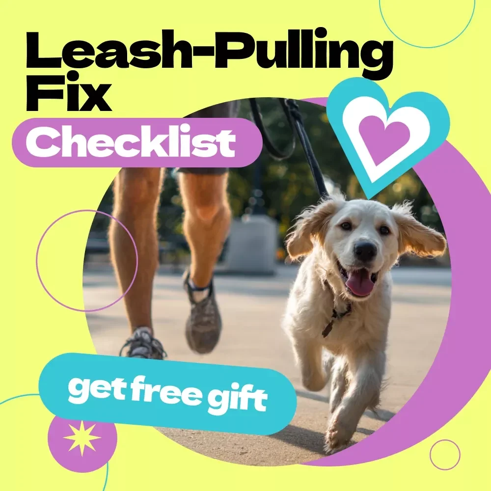 Your Leash-Pulling Fix Checklist – How to Stop Dog from Pulling on Leash Training Guide, Easy Walk Routine, Positive Reinforcement Dog Training Download