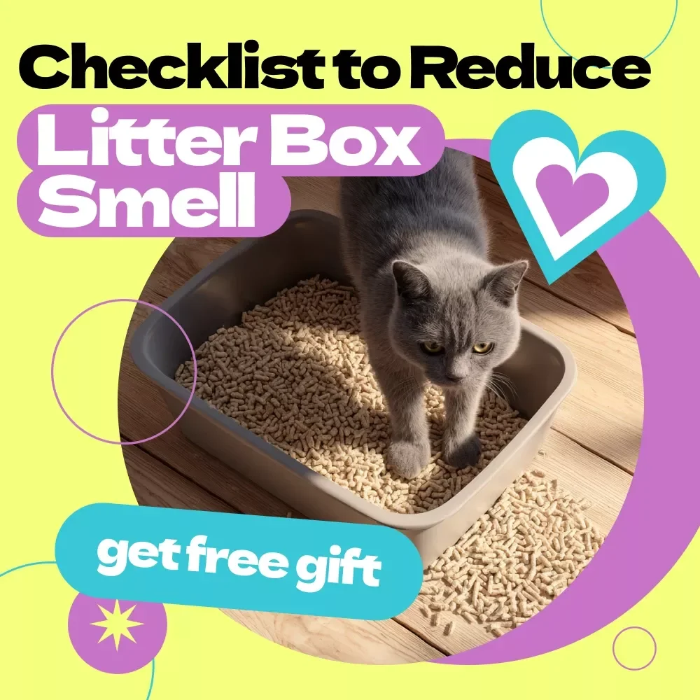 Checklist to Reduce Litter Box Smell – Easy Guide on how to reduce litter box smell for Cat Owners, Odor Control Tips, Printable Pet Care Checklist