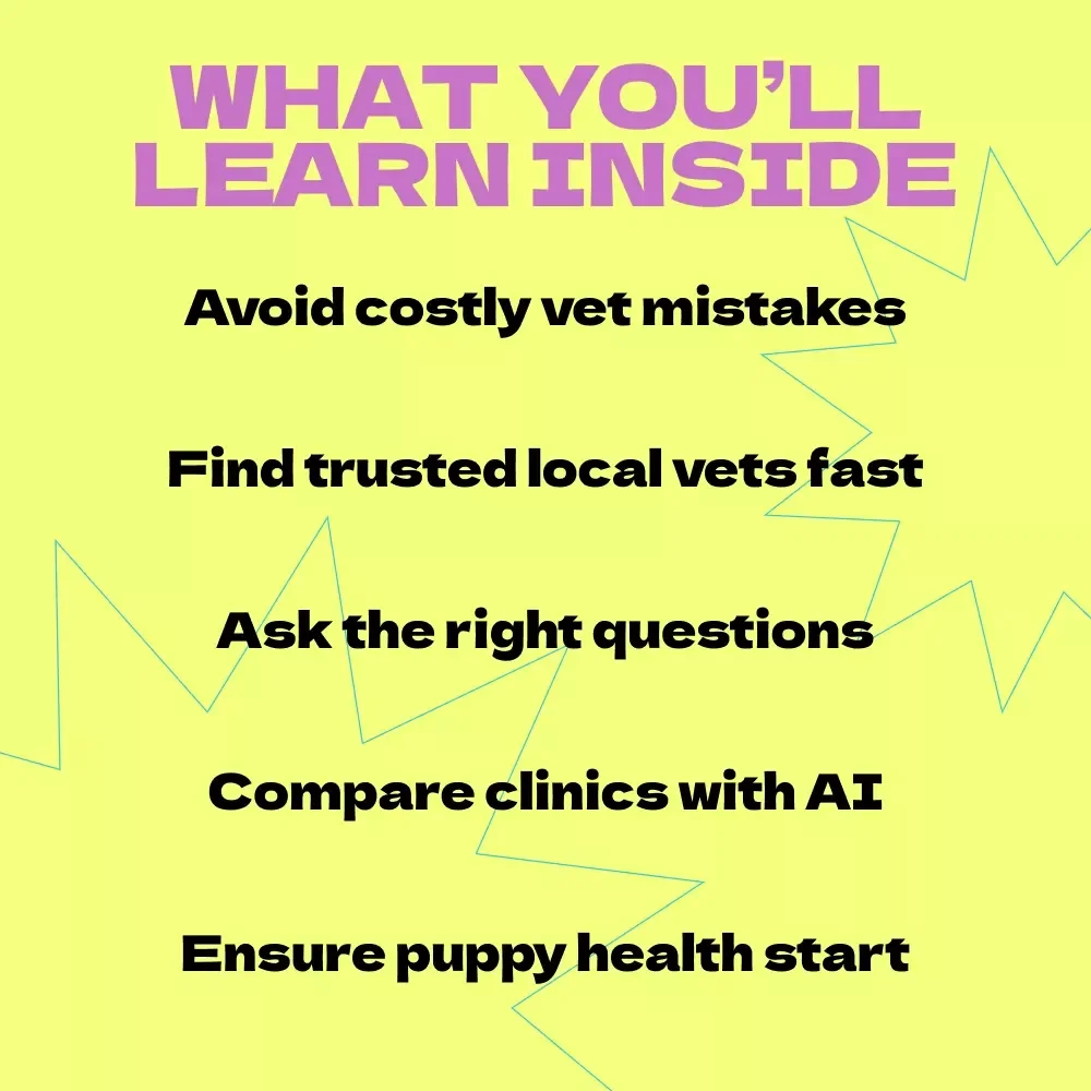 Finding the Perfect Vet for Your New Puppy – Complete Guide on how to choose a vet for new puppy, First-Time Puppy Owner Checklist & Vet Selection eBook