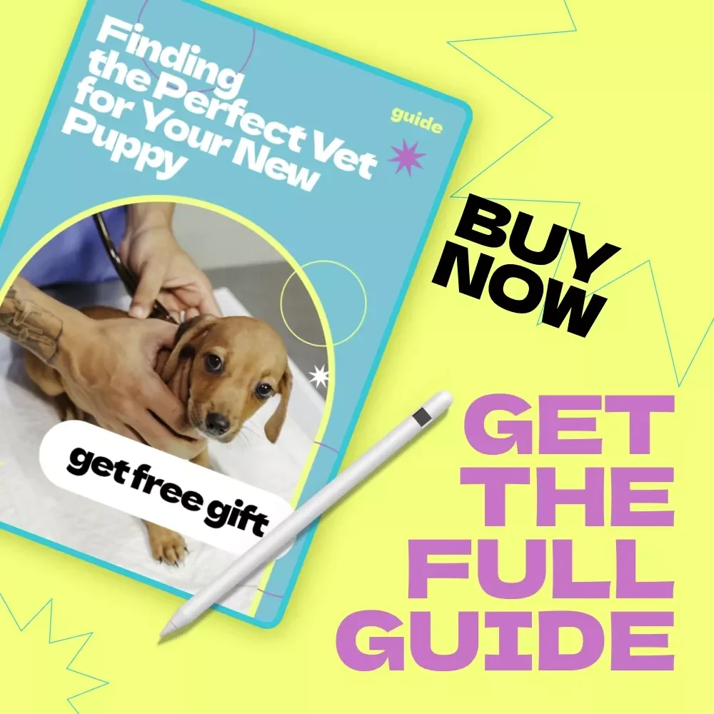 Finding the Perfect Vet for Your New Puppy – Complete Guide on how to choose a vet for new puppy, First-Time Puppy Owner Checklist & Vet Selection eBook