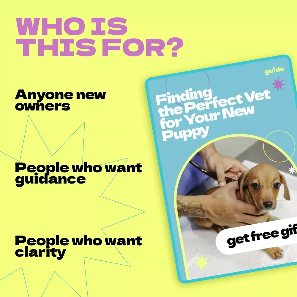 Finding the Perfect Vet for Your New Puppy – Complete Guide on how to choose a vet for new puppy, First-Time Puppy Owner Checklist & Vet Selection eBook
