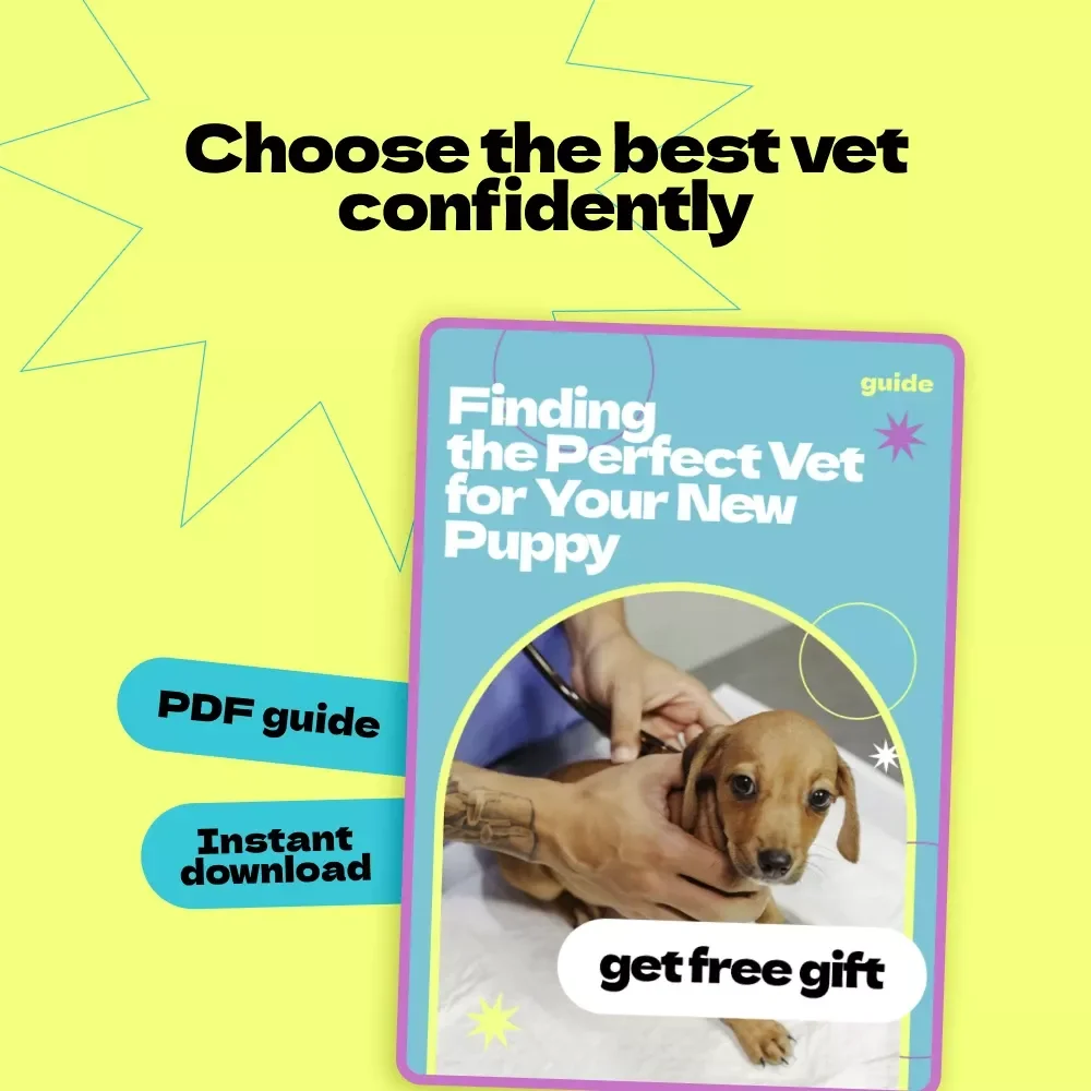 Finding the Perfect Vet for Your New Puppy – Complete Guide on how to choose a vet for new puppy, First-Time Puppy Owner Checklist & Vet Selection eBook