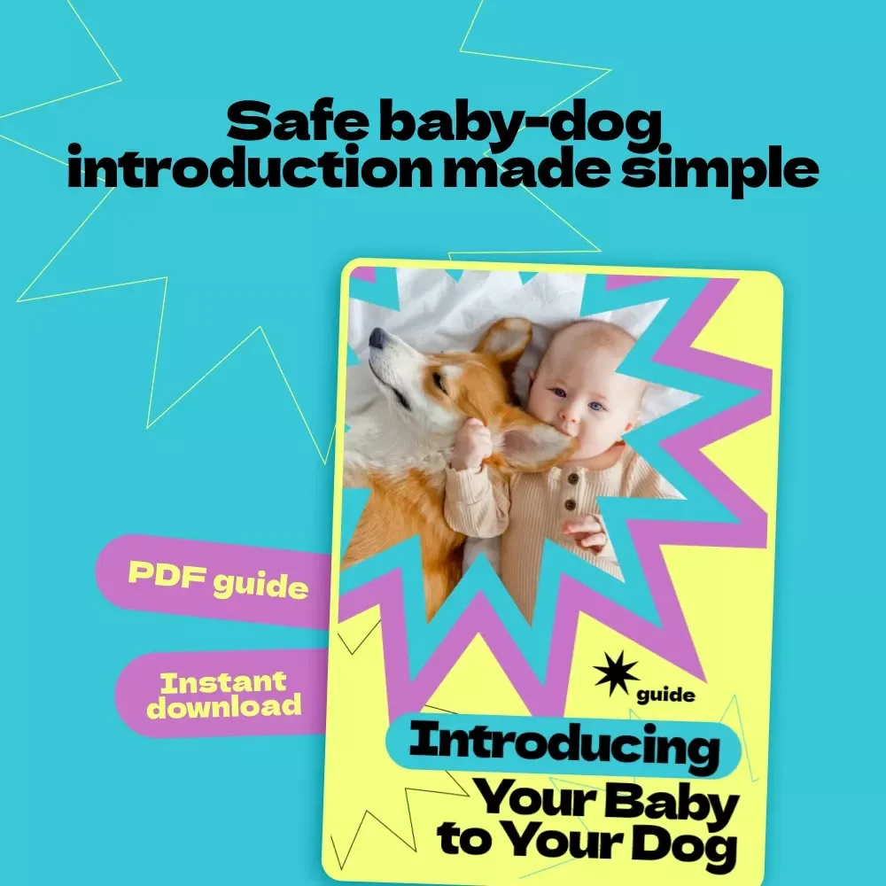 Introducing Your Baby to Your Dog: Complete Guide on How to Introduce Baby to Dog, Safe First Meetings, Bonding Tips & Training for New Parents