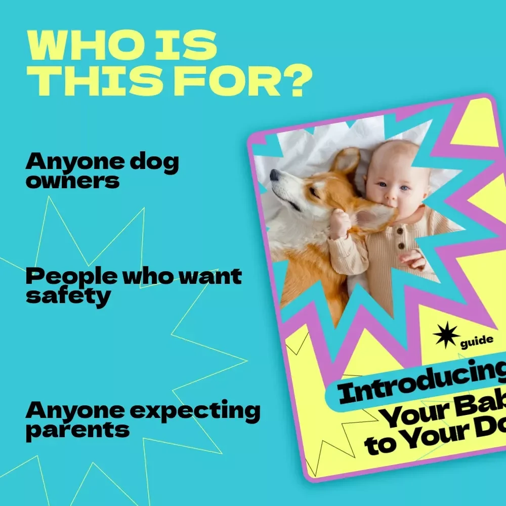 Introducing Your Baby to Your Dog: Complete Guide on How to Introduce Baby to Dog, Safe First Meetings, Bonding Tips & Training for New Parents