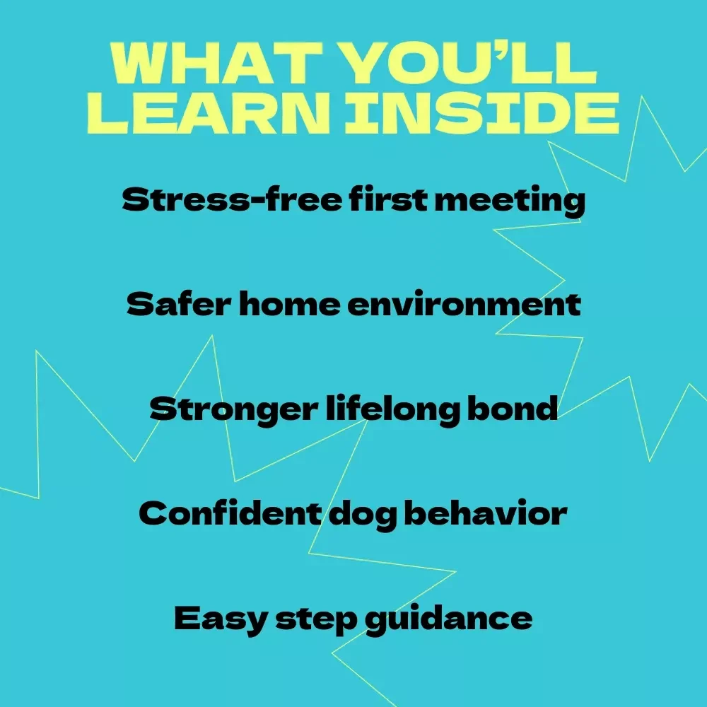 Introducing Your Baby to Your Dog: Complete Guide on How to Introduce Baby to Dog, Safe First Meetings, Bonding Tips & Training for New Parents