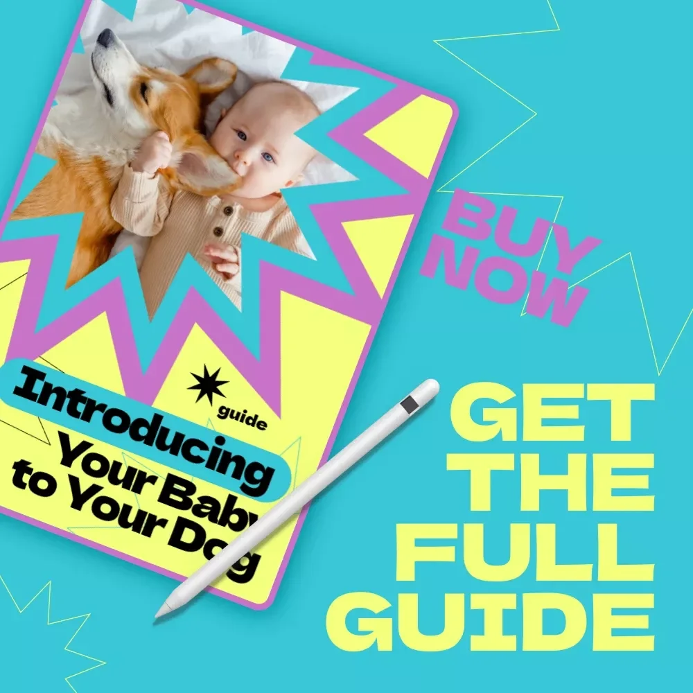 Introducing Your Baby to Your Dog: Complete Guide on How to Introduce Baby to Dog, Safe First Meetings, Bonding Tips & Training for New Parents
