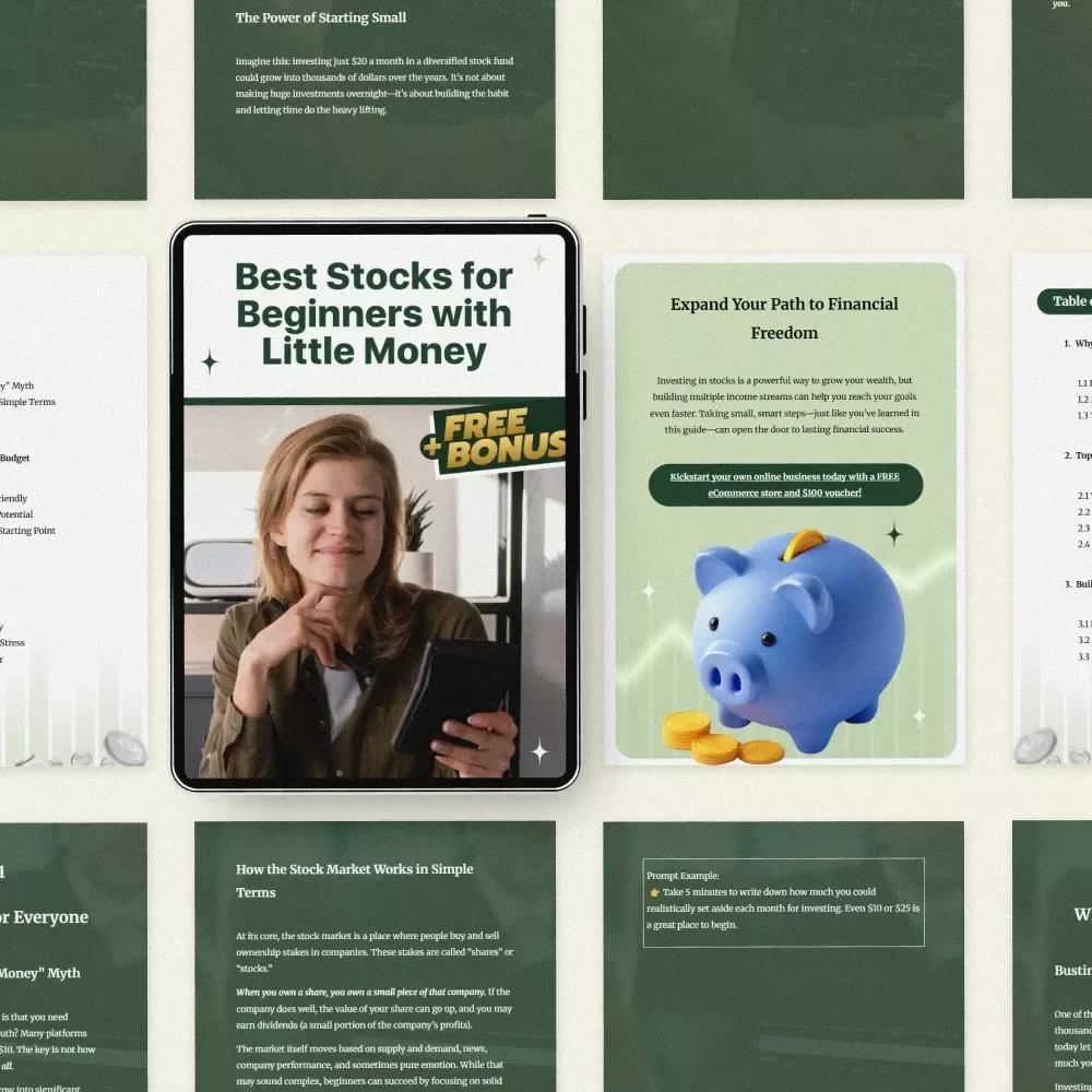 Best Stocks for Beginners with Little Money – Step-by-Step Investing Guide, Budget Stock Picks, ETFs & Index Funds Starter eBook for First-Time Investors