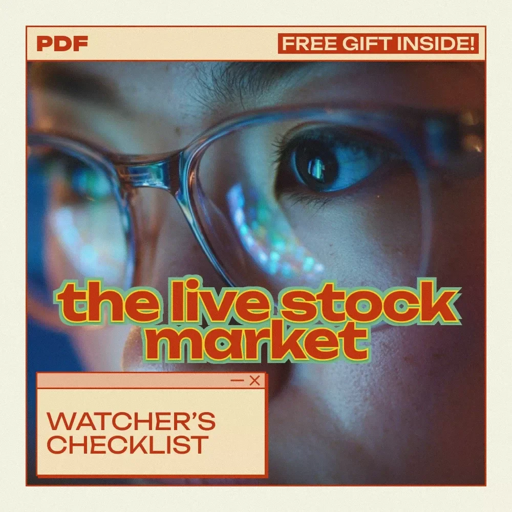 The Live Stock Market Watcher’s Checklist - Your Essential Guide to Watching the Stock Market Live