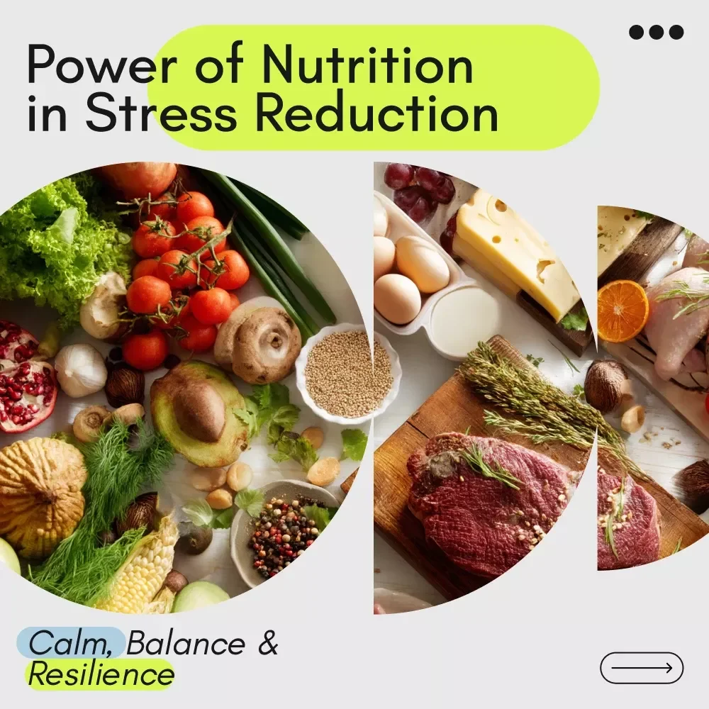 The Power of Nutrition in Stress Reduction | Nutrition and Stress Reduction eBook for Calm, Balance & Resilience