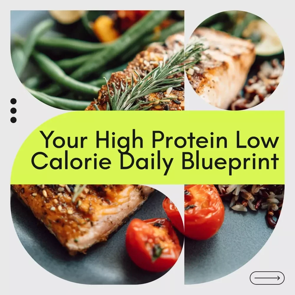 Your High Protein Low Calorie Daily Blueprint – High Protein Low Calorie Meal Planning Guide, Digital Download eBook & Checklist for Fat Loss, Simple Nutrition Blueprint