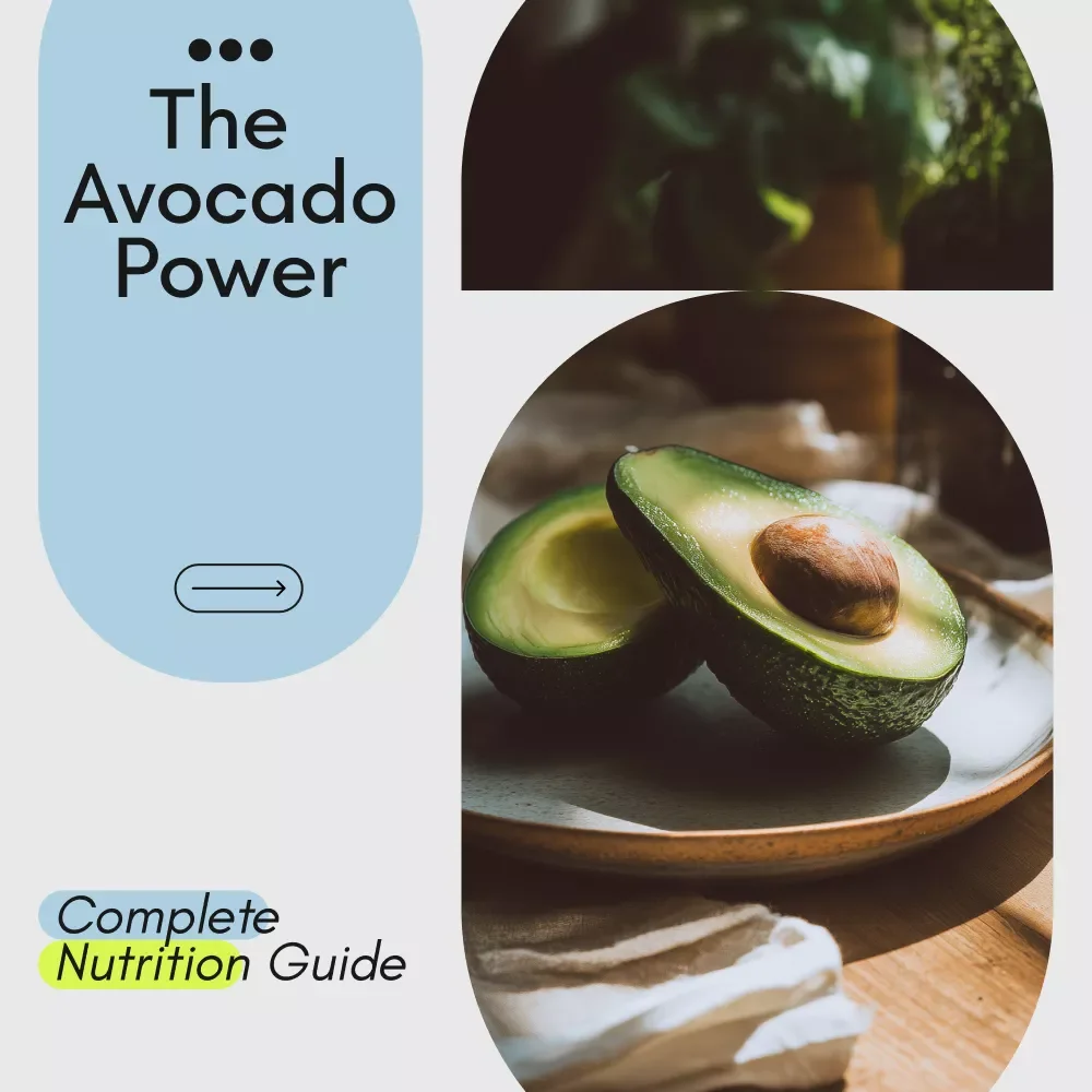 Unlocking the Power of Avocados for a Healthier You – Complete Nutrition Guide, Benefits Breakdown & Smart Eating Plan