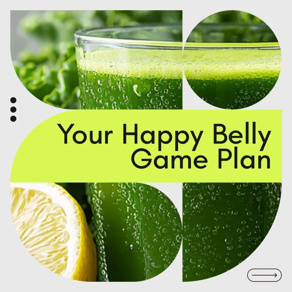 Your Happy Belly Game Plan Checklist – How to Get More Good Bacteria in Your Gut Digital Download