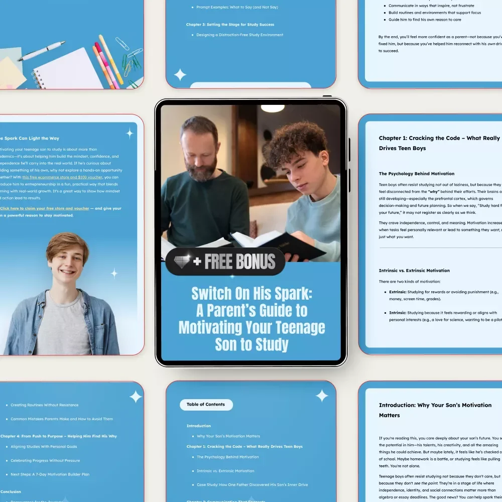 Switch On His Spark: A Parent’s Guide to Motivating Your Teenage Son to Study