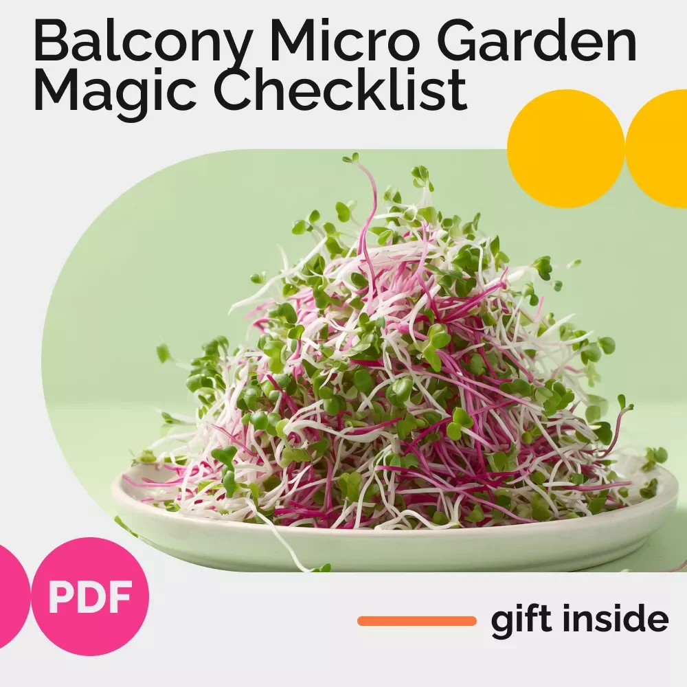 Balcony Micro Garden Magic Checklist | Small Space Gardening Guide | How to plant a micro garden on your balcony