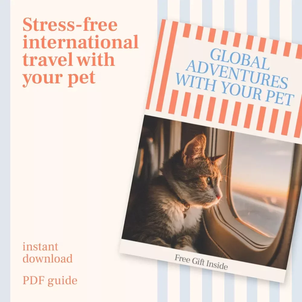 Global Adventures with Your Pet: Ultimate Guide on How to Travel with a Pet Internationally