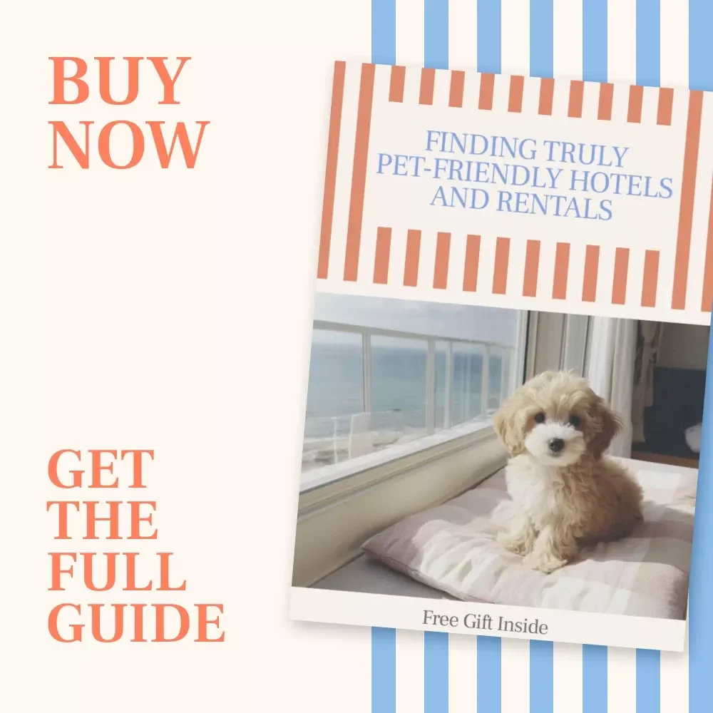 Finding Truly Pet-Friendly Hotels and Rentals | A Practical Guide on How to Find Pet Friendly Hotels and Rentals With Confidence