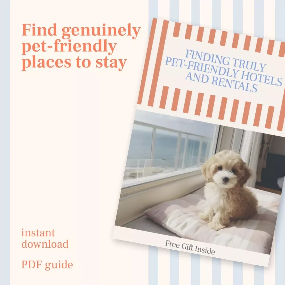 Finding Truly Pet-Friendly Hotels and Rentals | A Practical Guide on How to Find Pet Friendly Hotels and Rentals With Confidence